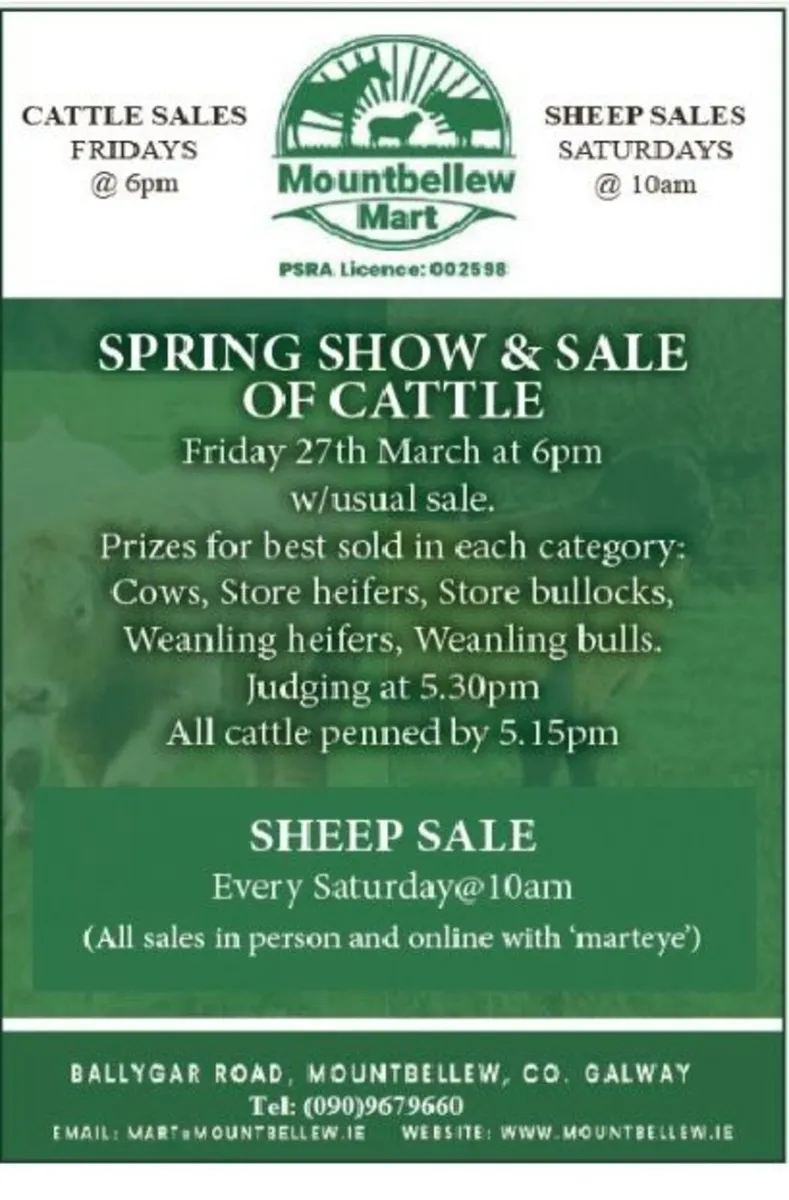 Spring Show and Sale of Cattle 27th March 2026 - Image 1