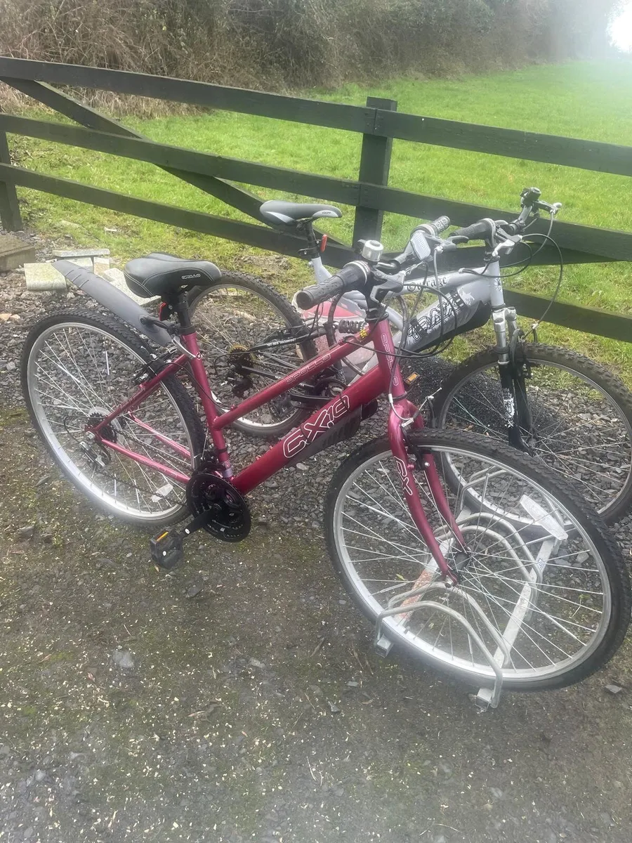 Apollo CX10 Teen/ Ladies Bike - Image 1