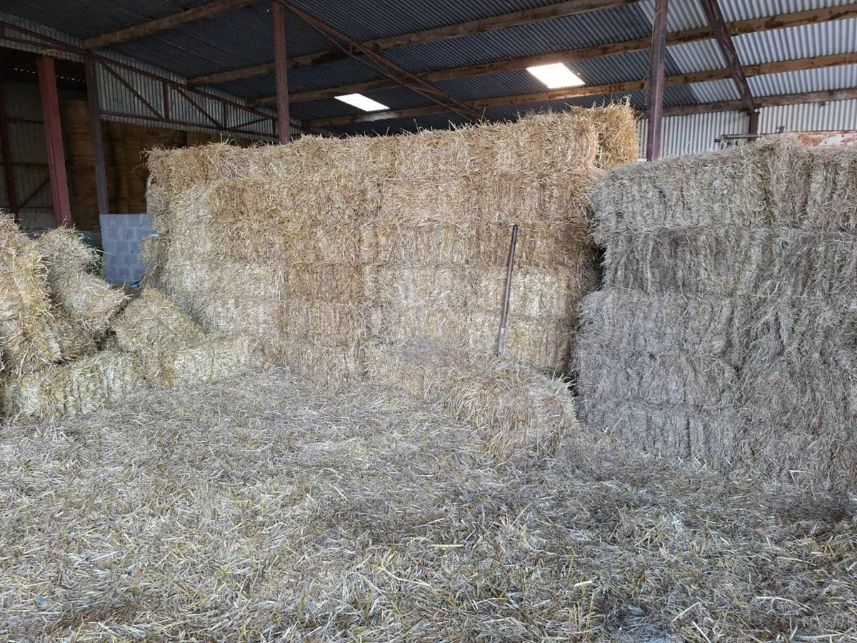 Bales of Hay and Straw - Image 2