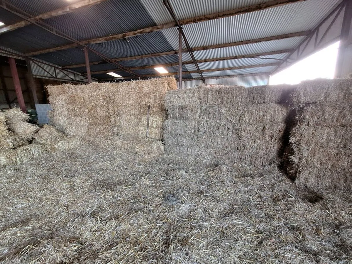 Bales of Hay and Straw - Image 1
