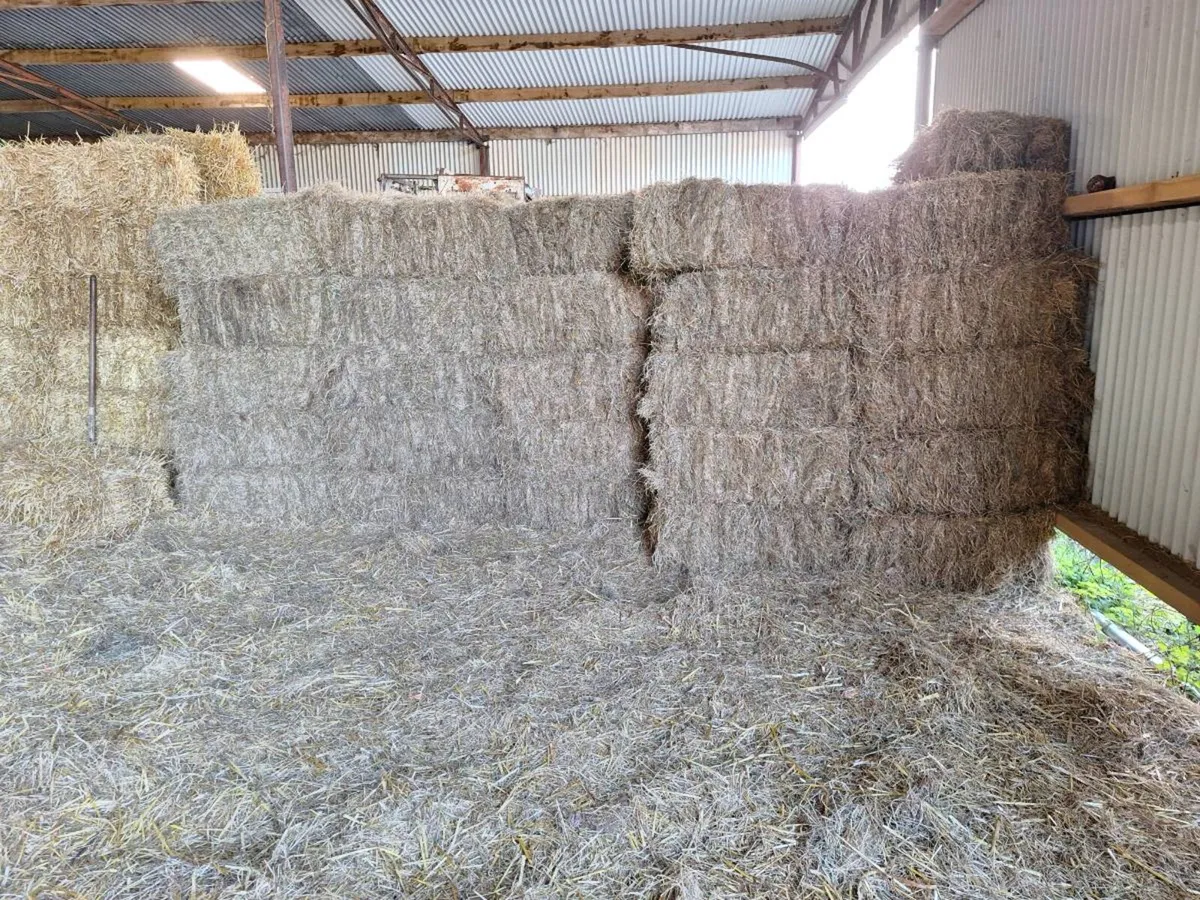 Bales of Hay and Straw - Image 3