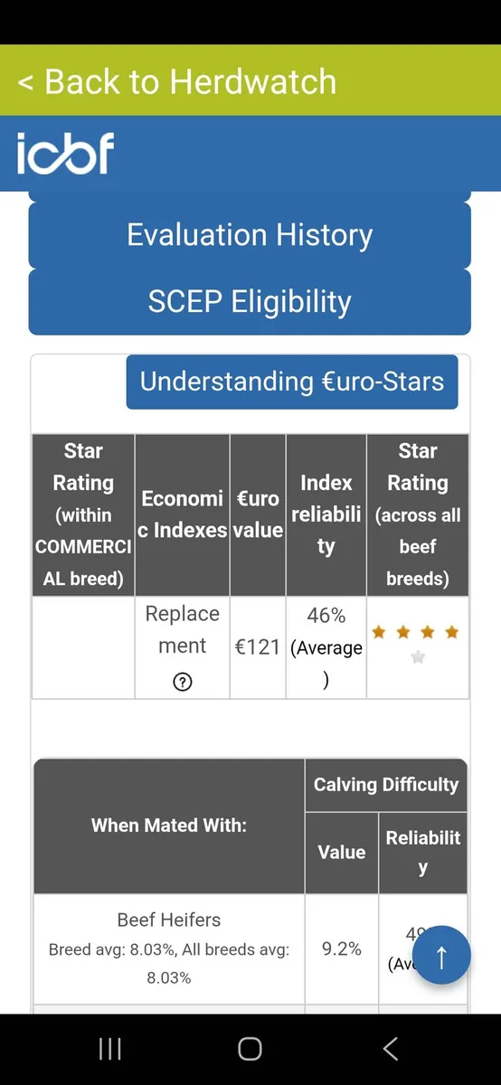 Full Symbol Organic HEX Heifers - Image 4
