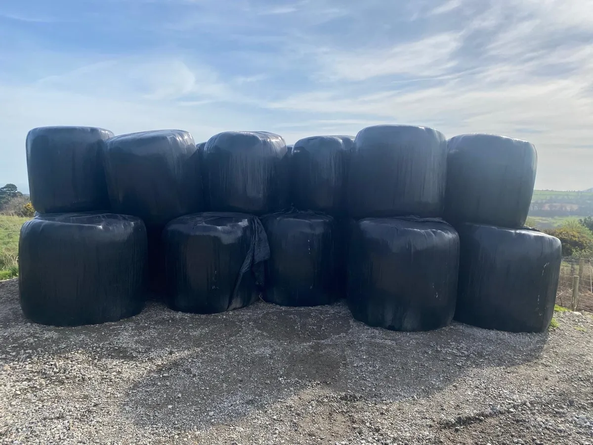 Silage Bales - Image 2