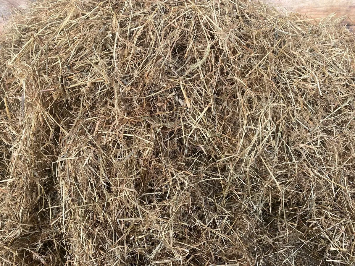 Silage Bales - Image 1