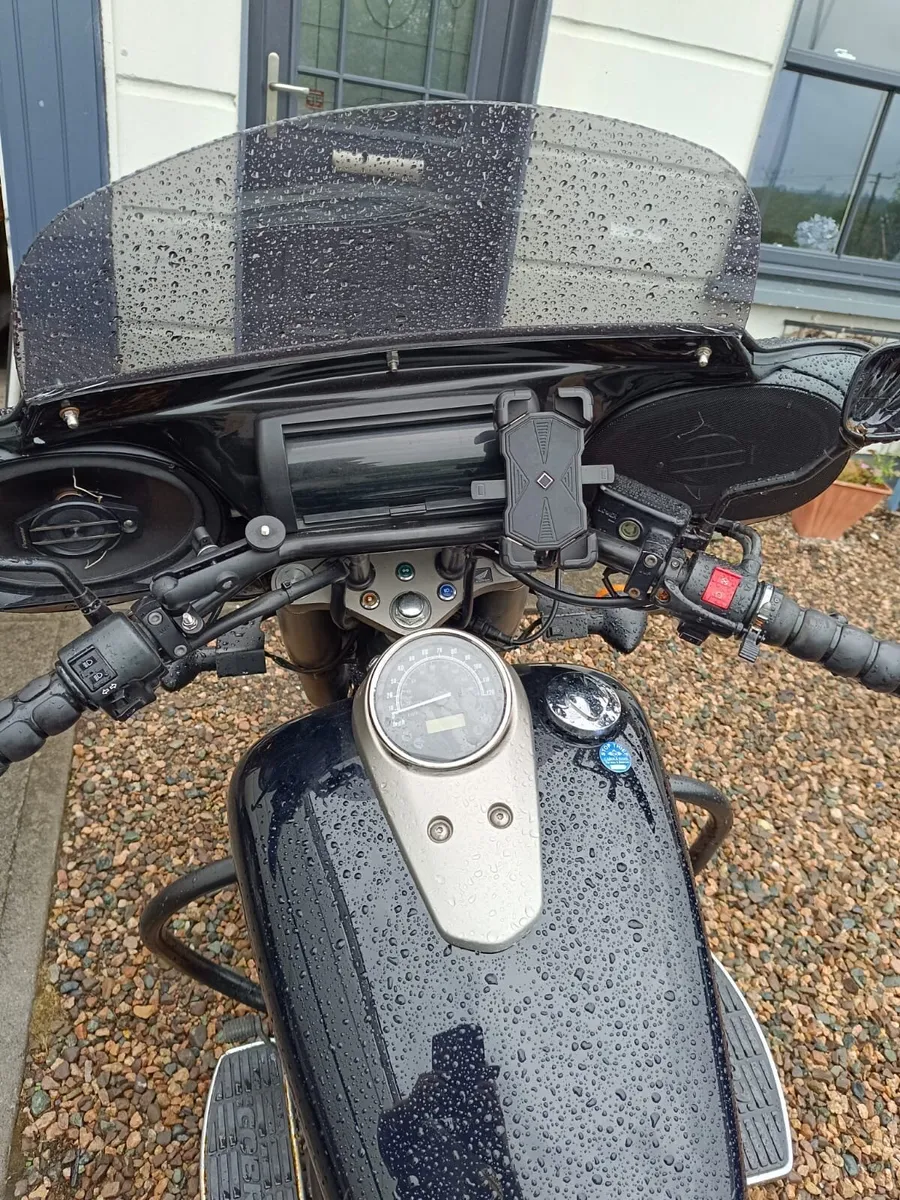 Triumph tiger & Shadow 750 mint - Image 4