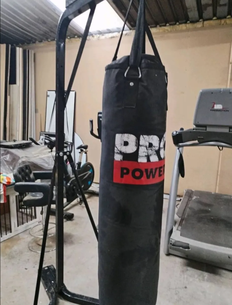 Boxing bag - Image 1