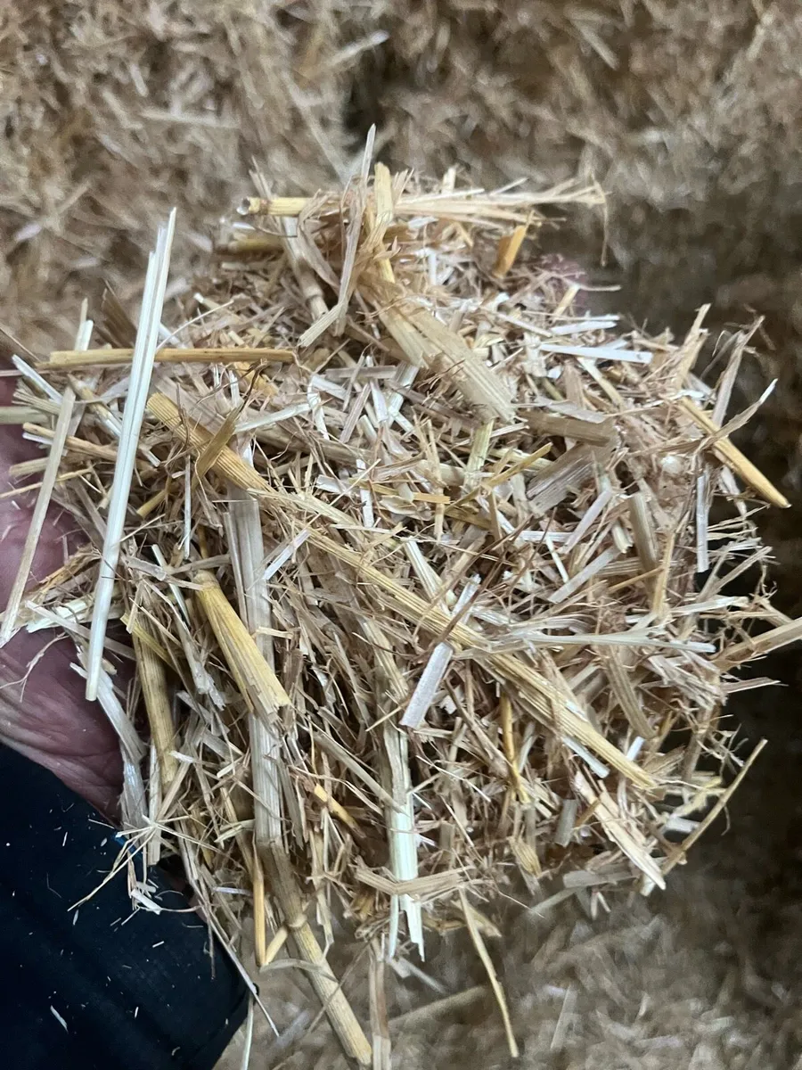 Chopped straw - Image 2