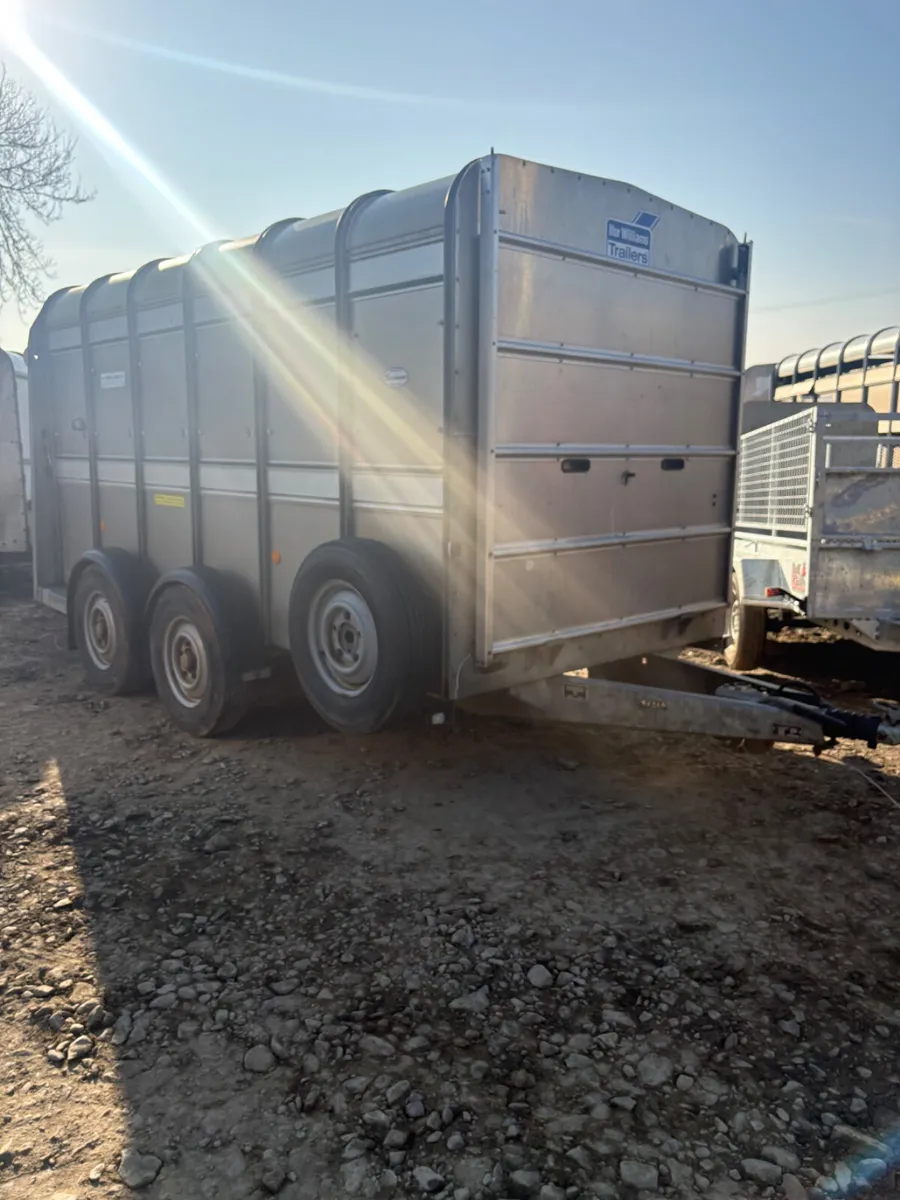 Ifor Williams 12ft cattle trailer - Image 1