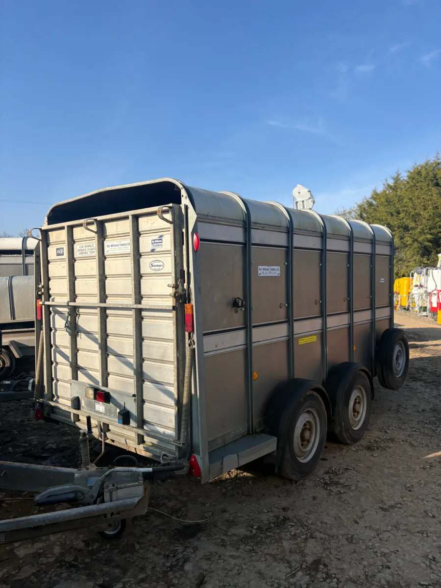Ifor Williams 12ft cattle trailer - Image 2