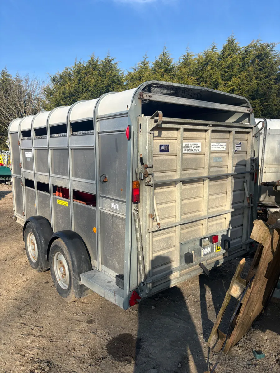 Ifor Williams 12ft cattle trailer - Image 2