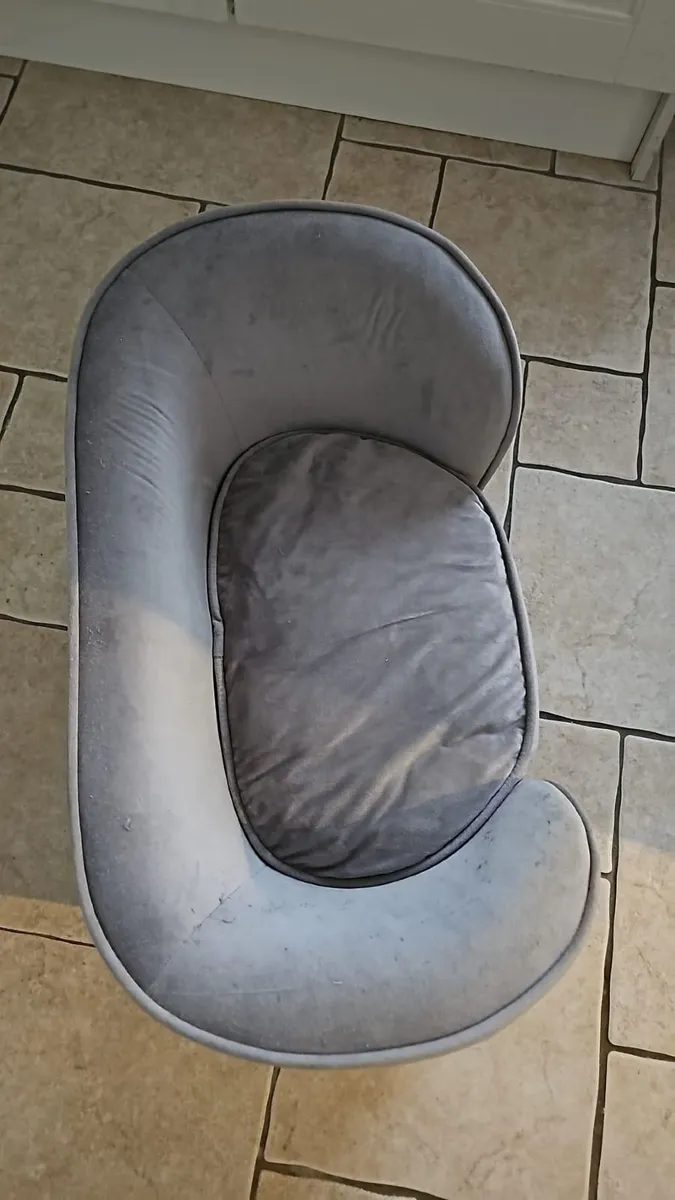 Pet Seat/Bed - Image 2
