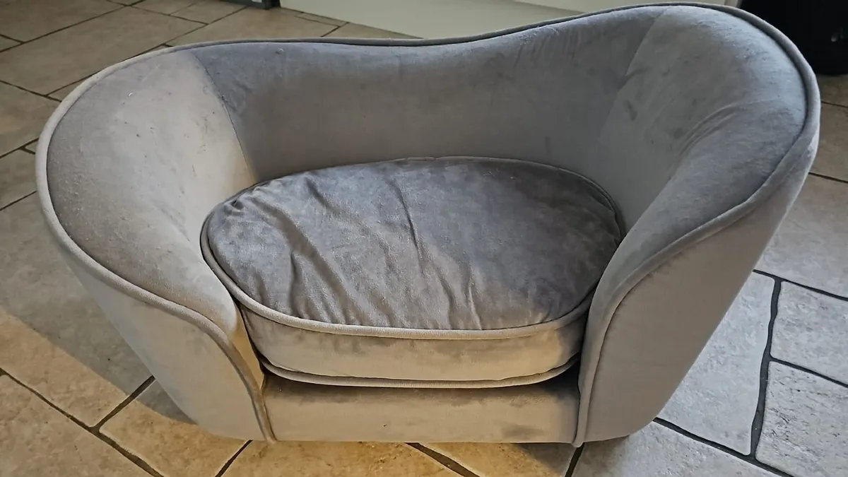 Pet Seat/Bed - Image 1