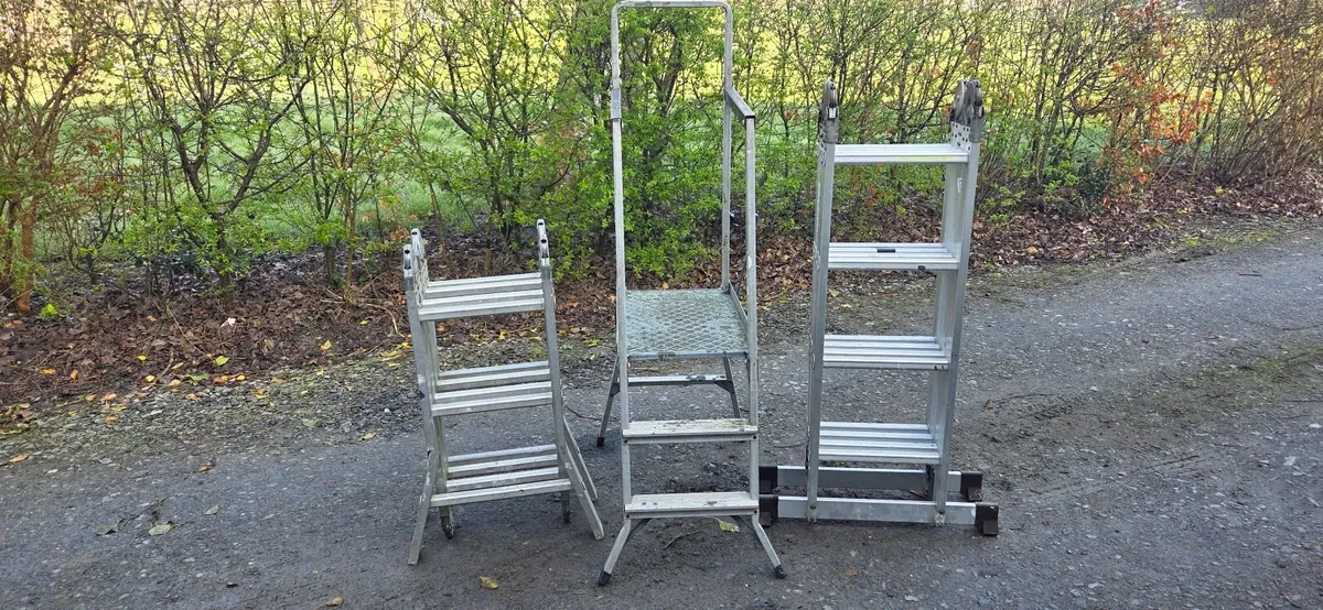 3 platform ladder - Image 3