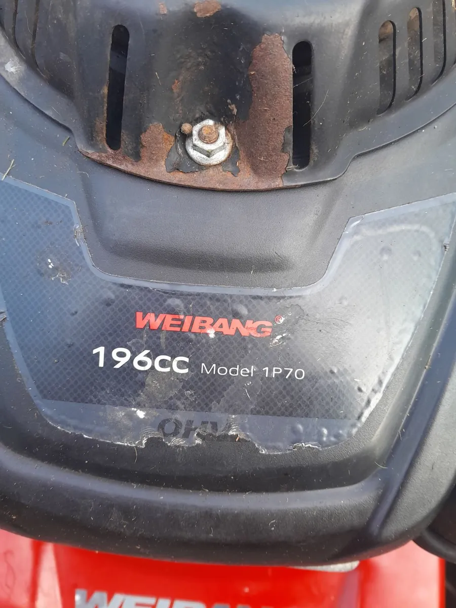 Self drive Lawnmower - Image 4