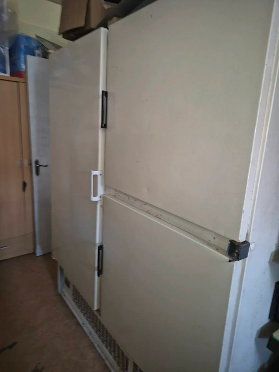 Commercial fridge - Image 1