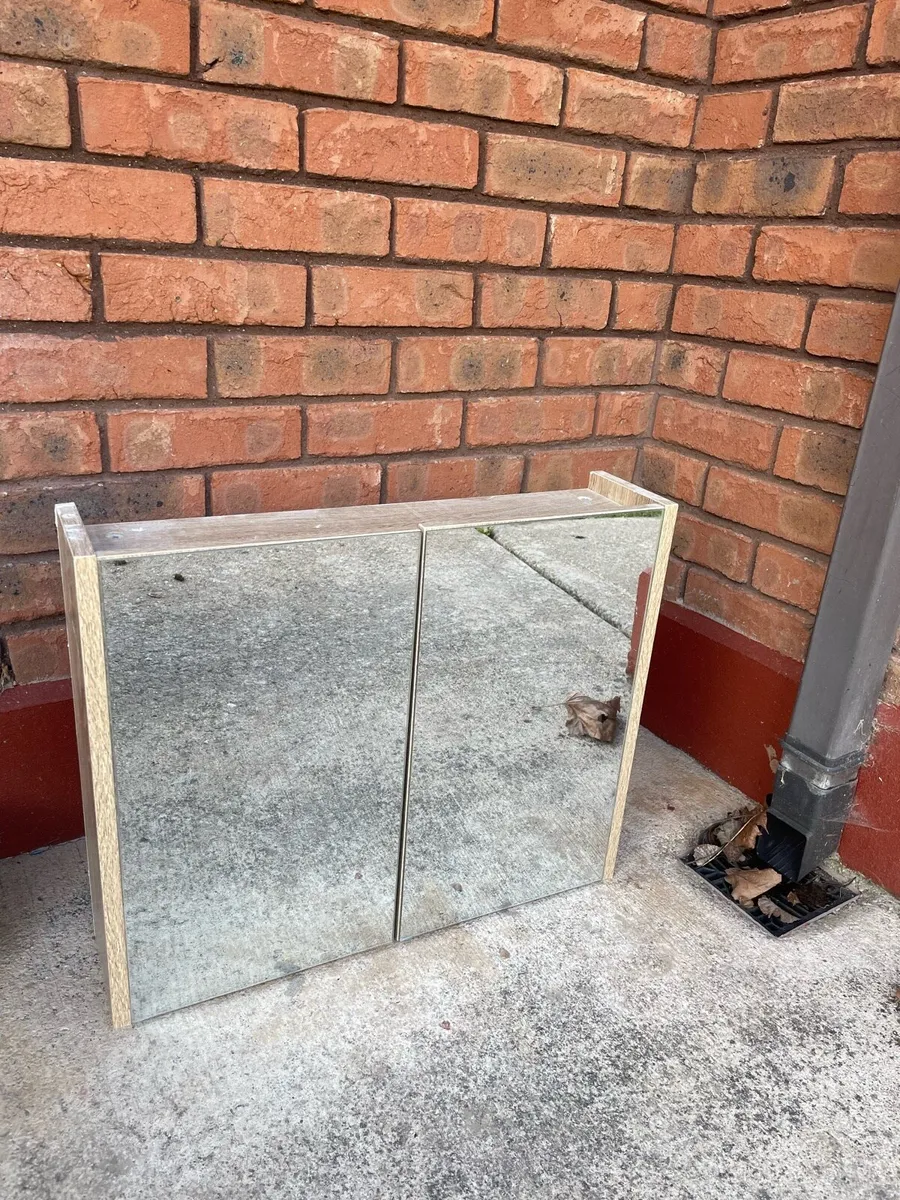 Mirrored Cabinet - Image 1