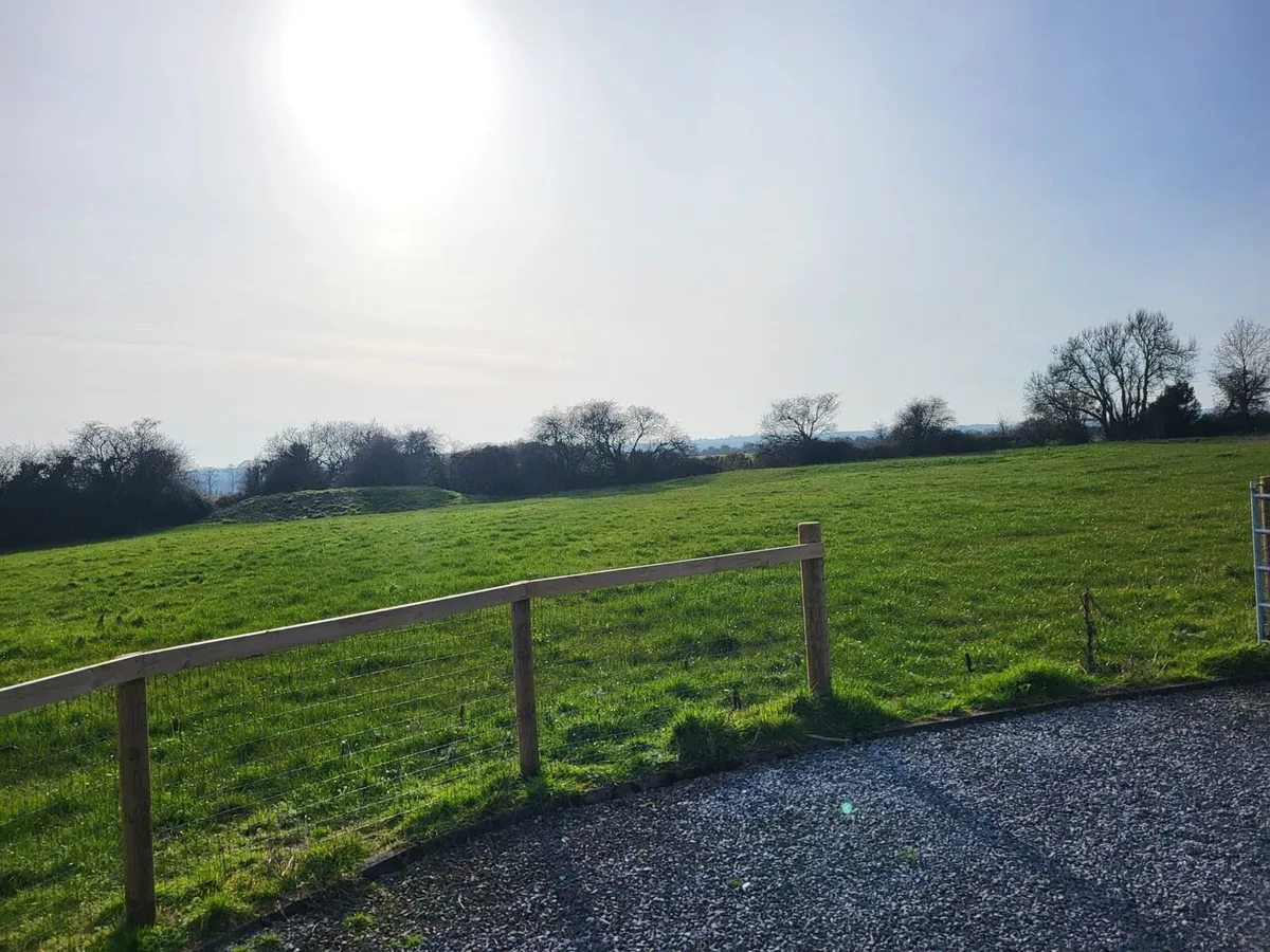 Paddock mowing - Image 2