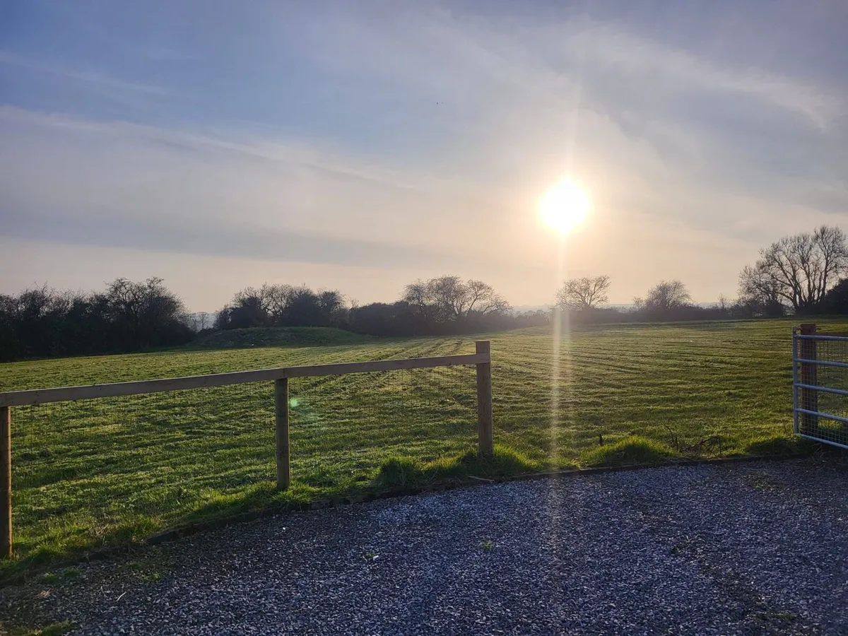 Paddock mowing - Image 3