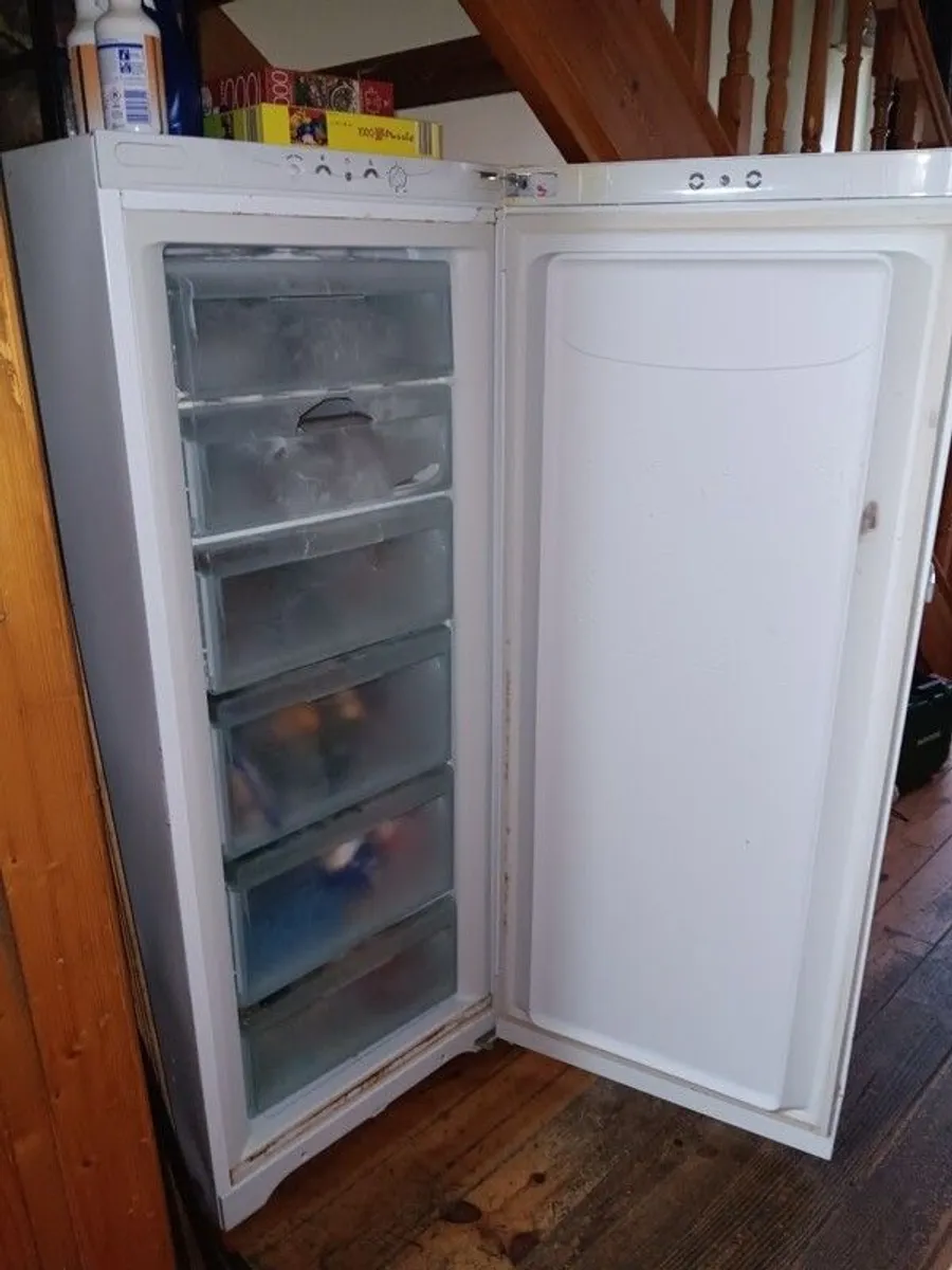 Tall Standing Lader Freezer. - Image 1