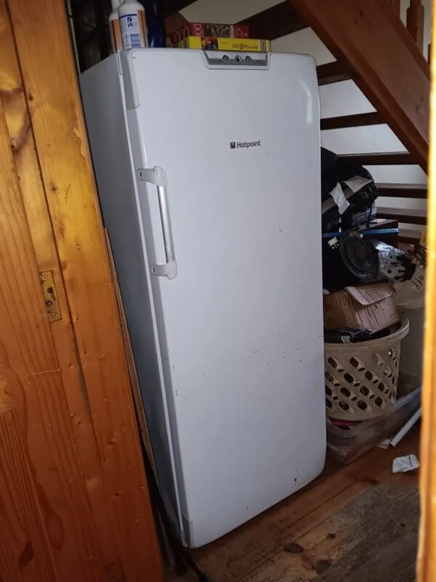 Tall Standing Lader Freezer. - Image 2