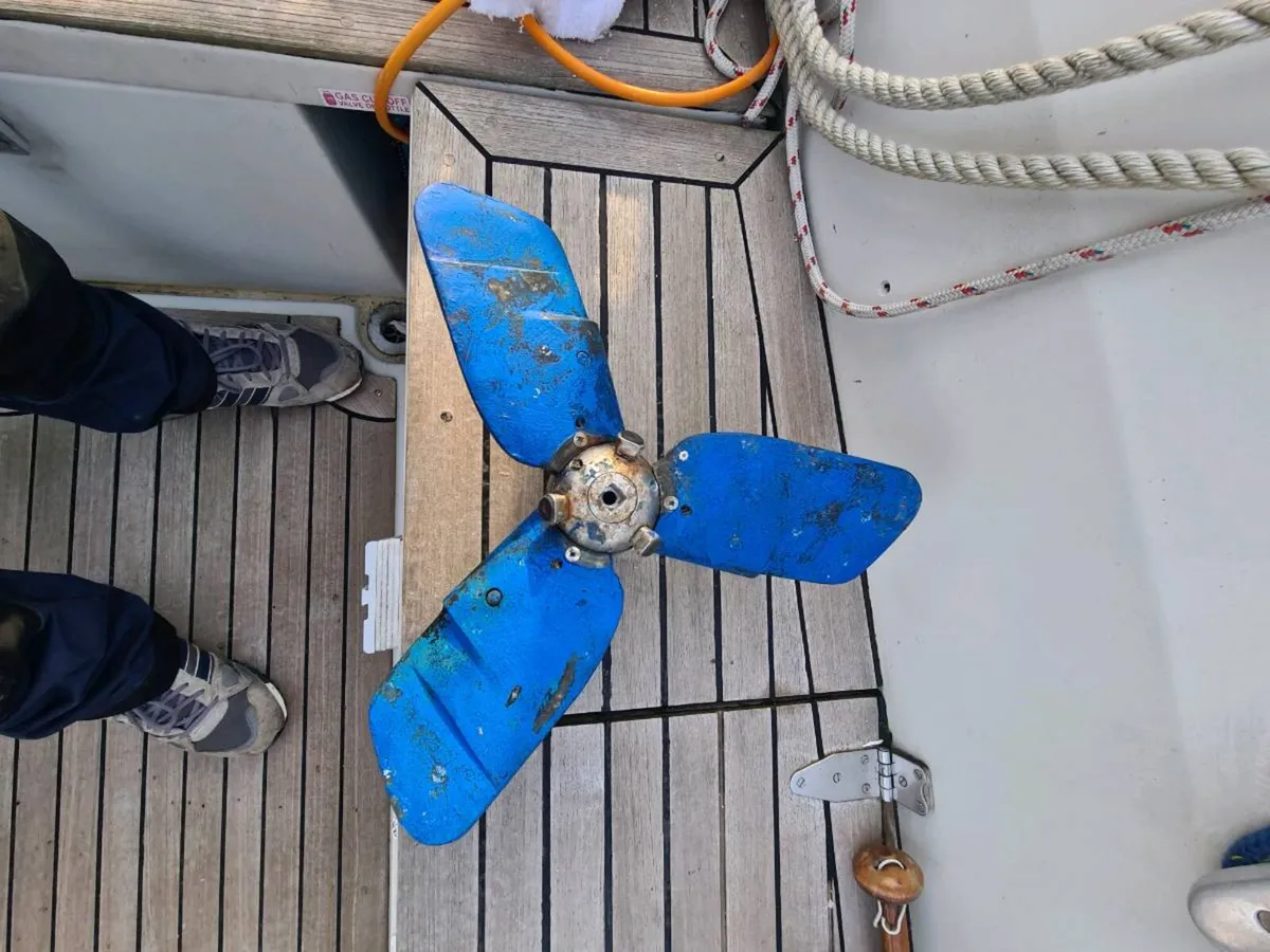 Kiwi propeller - Image 2