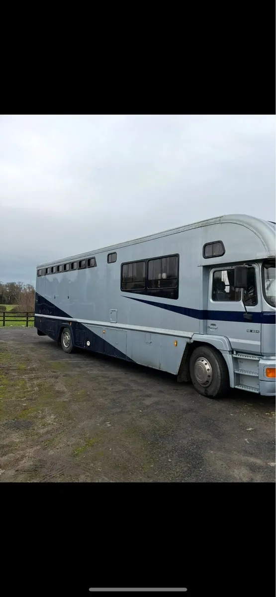 5 horse man - Image 1