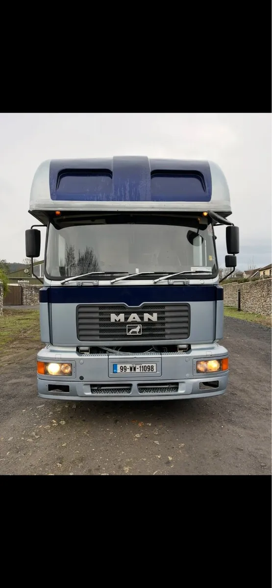 5 horse man - Image 2