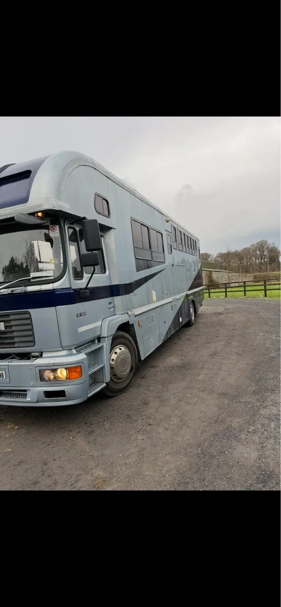 5 horse man - Image 3