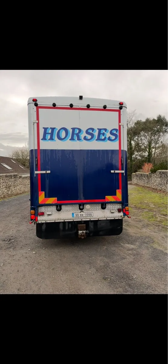 5 horse man - Image 4