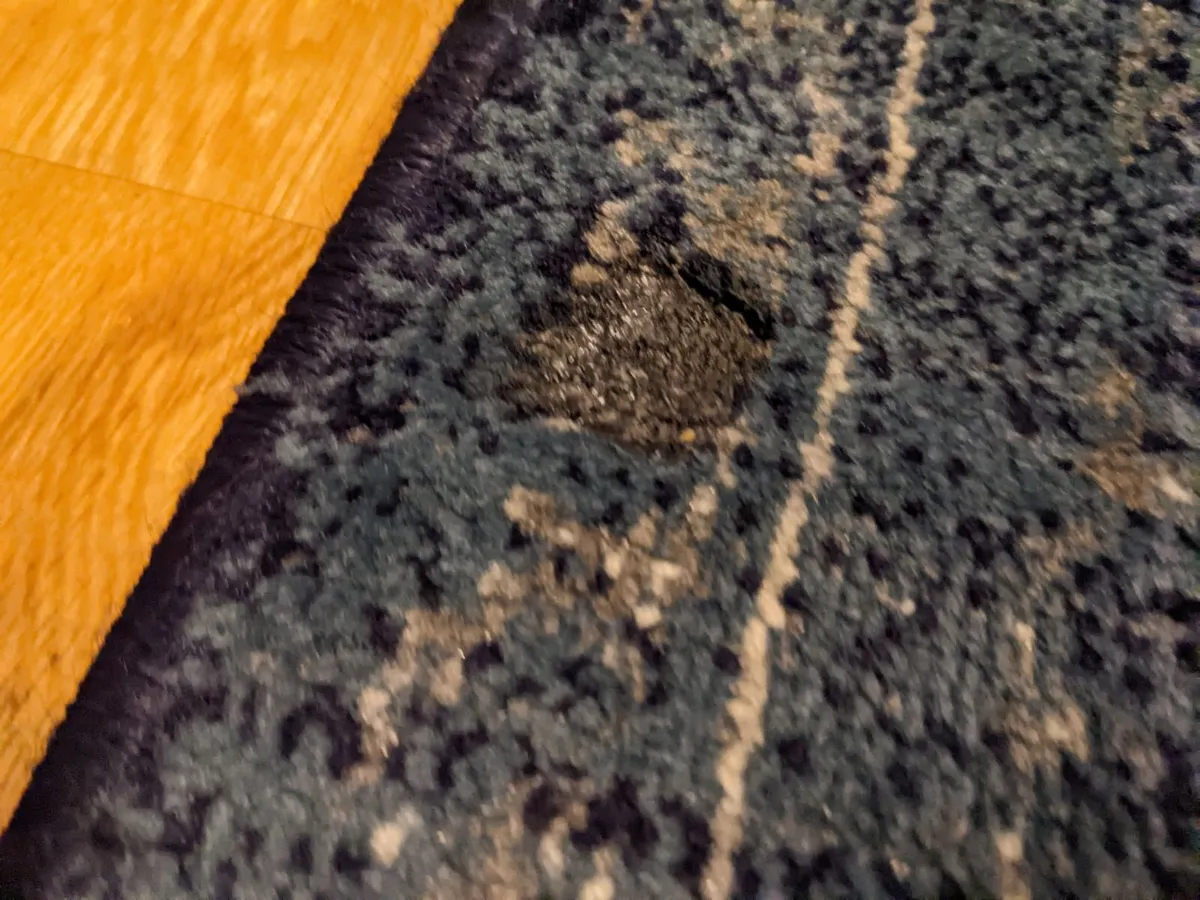 Blue Rug Carpet - Image 2