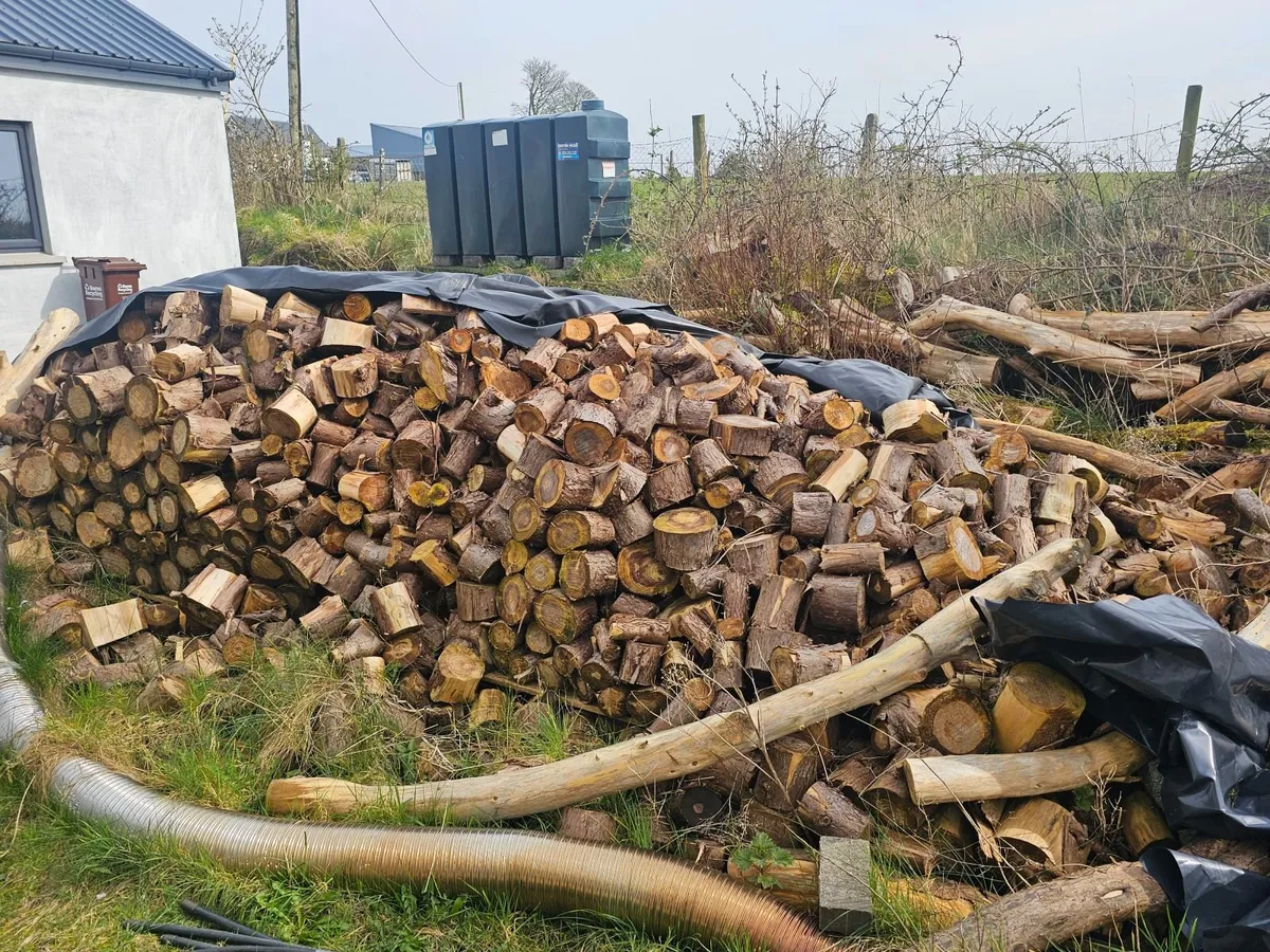 Timber for fire - Image 2