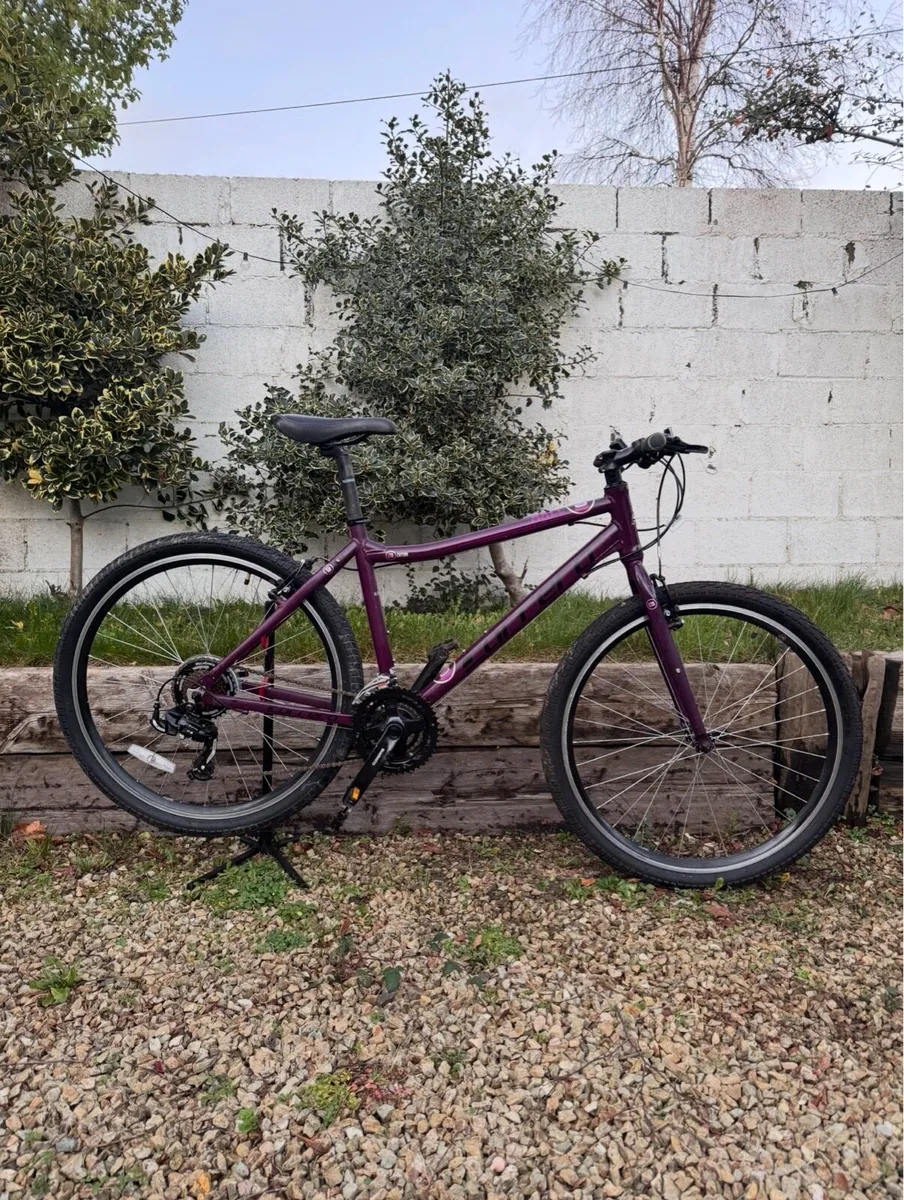 Carrera Axle Bike - Image 1