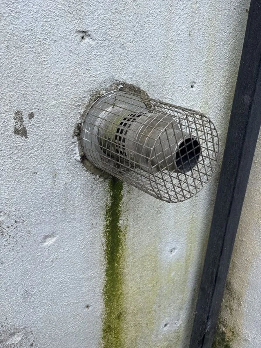 oil boiler - Image 4