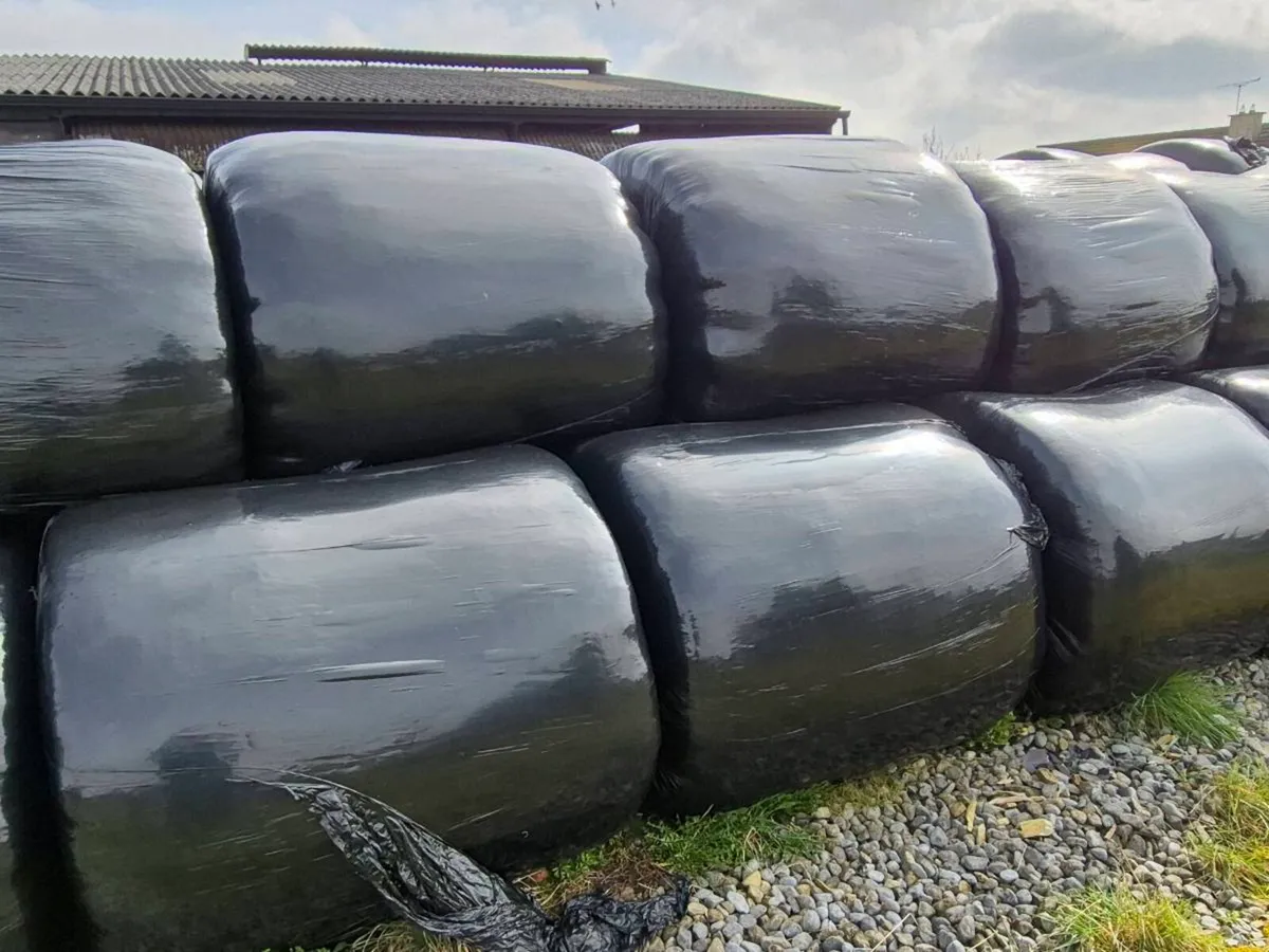 Silage Bales