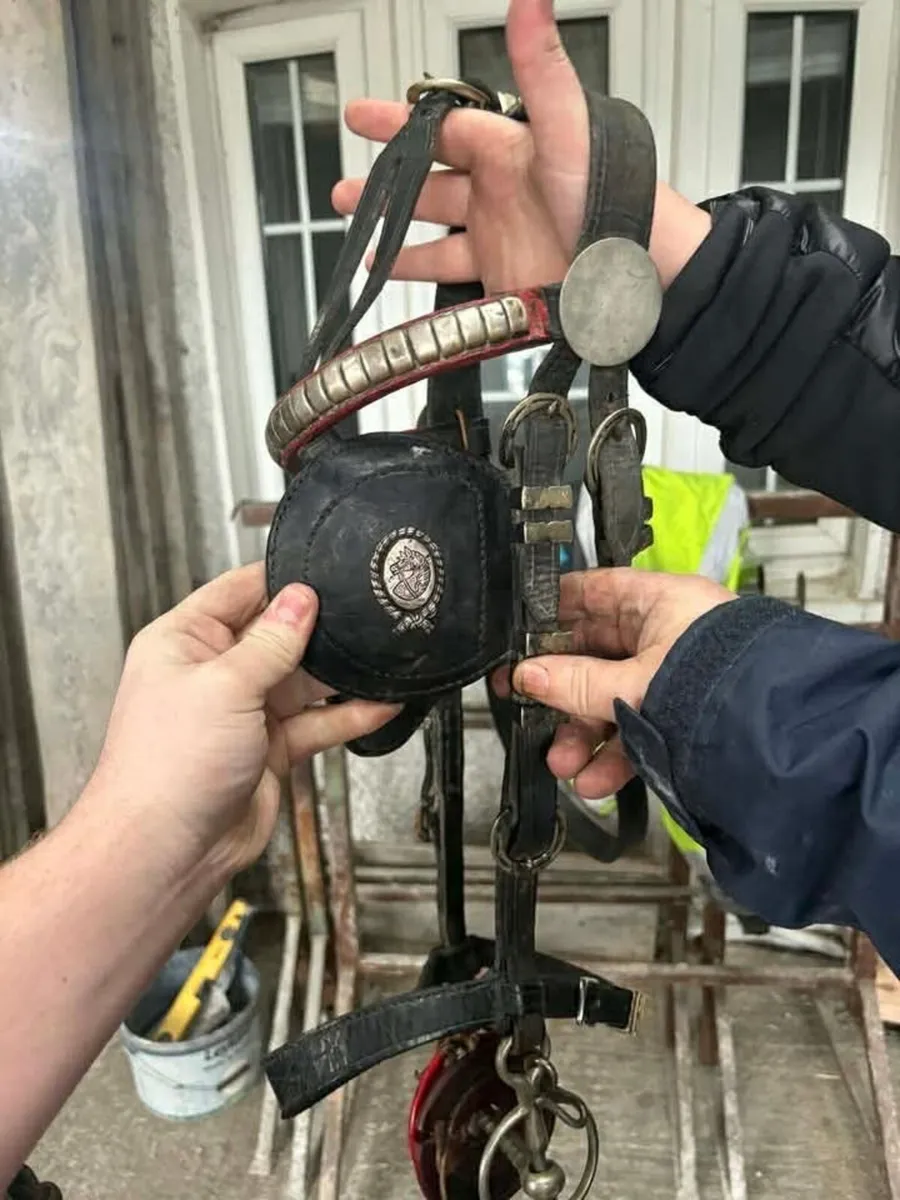 HORSE HARNESS - Image 3