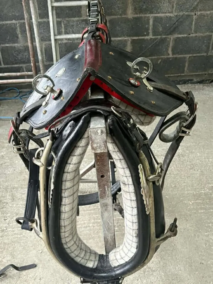 HORSE HARNESS - Image 1