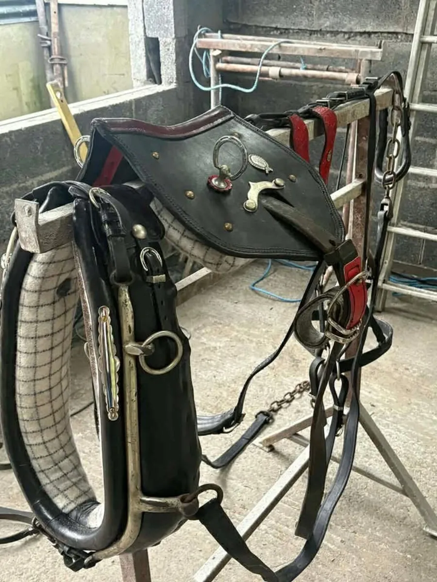 HORSE HARNESS - Image 2