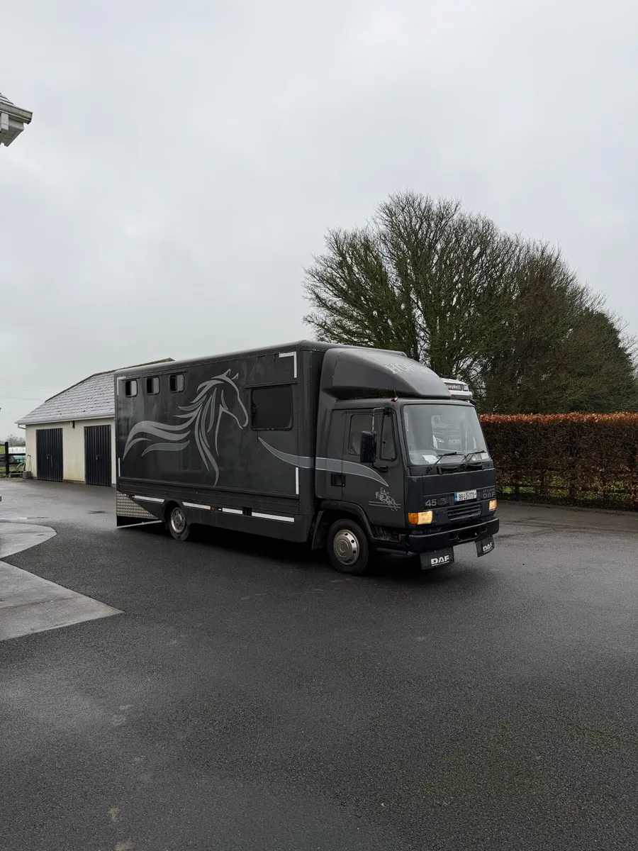 Daf horse lorry - Image 2