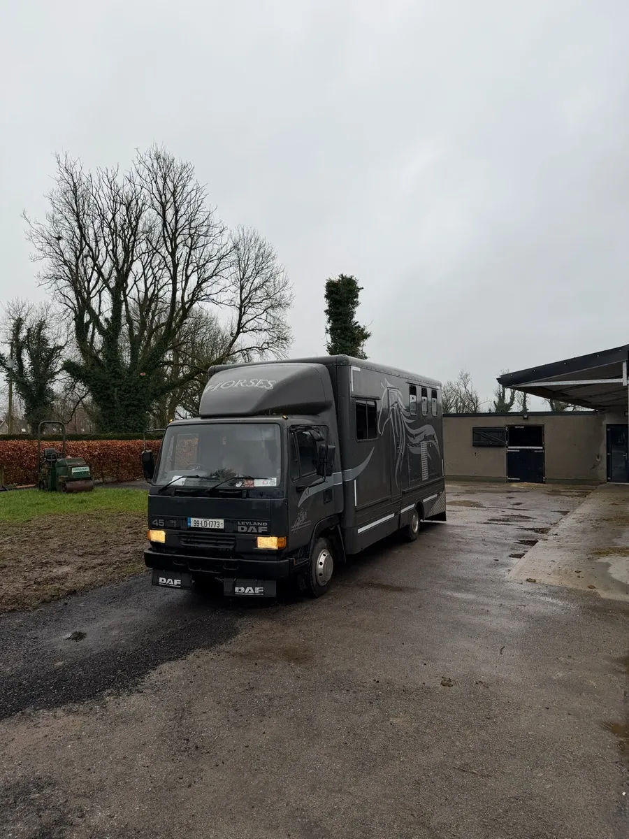 Daf horse lorry - Image 3
