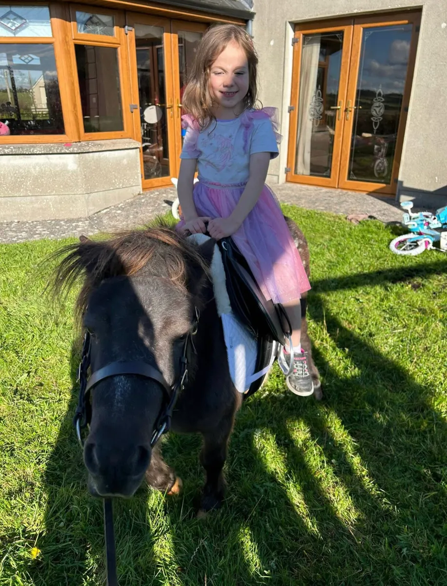 Pony for sale - Image 4