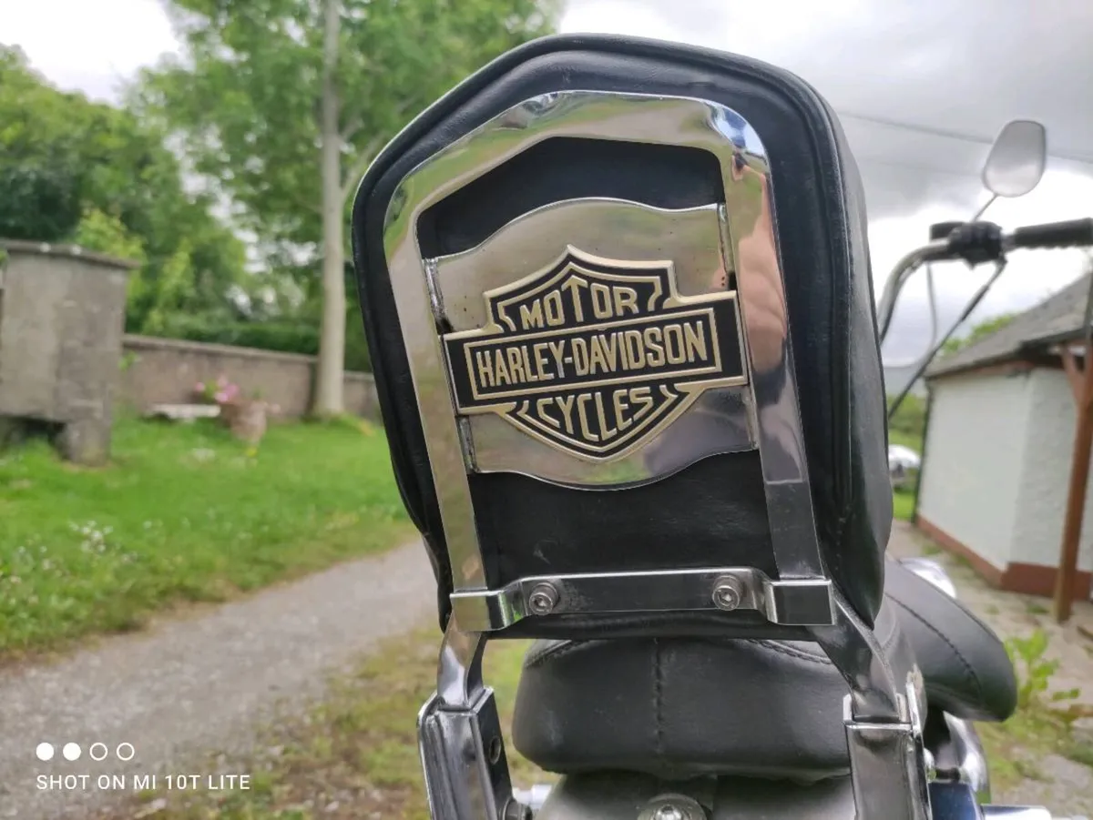 Harley Sportster 883 - Image 3