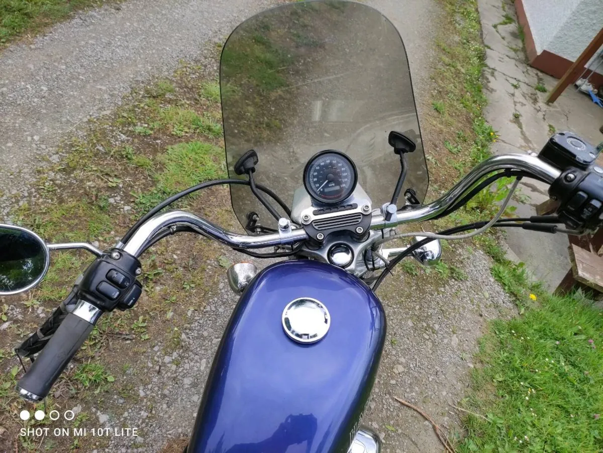 Harley Sportster 883 - Image 2