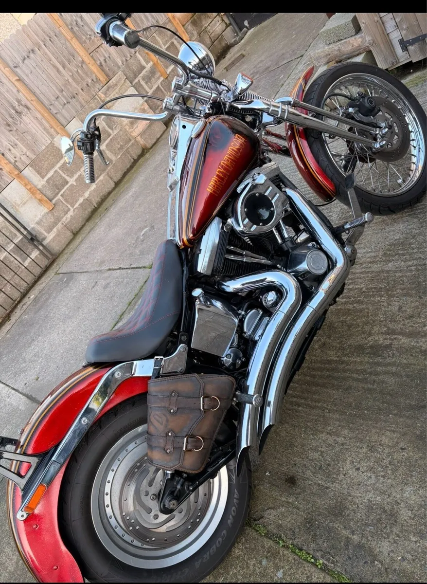 1998 Harley Davidson Softail springer - Image 3