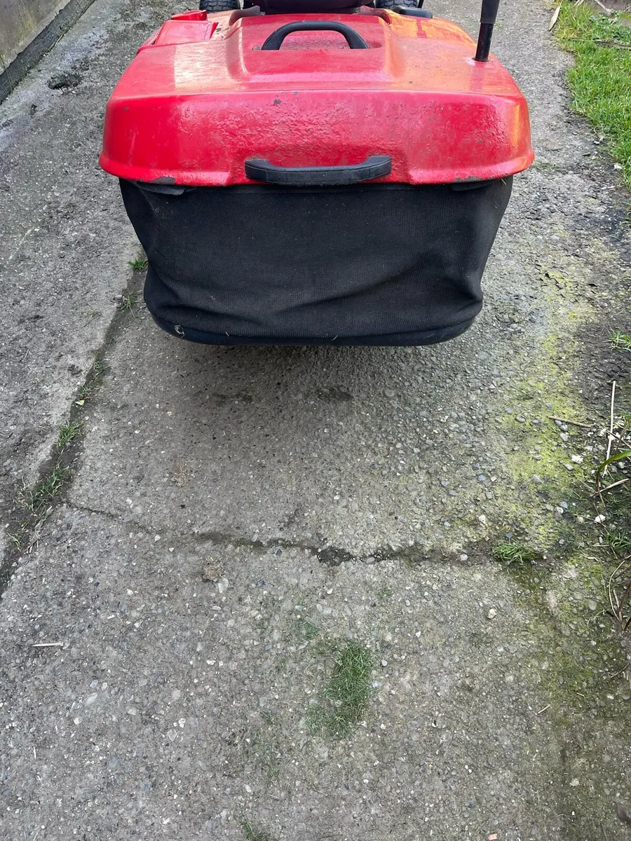 Rally mower - Image 2