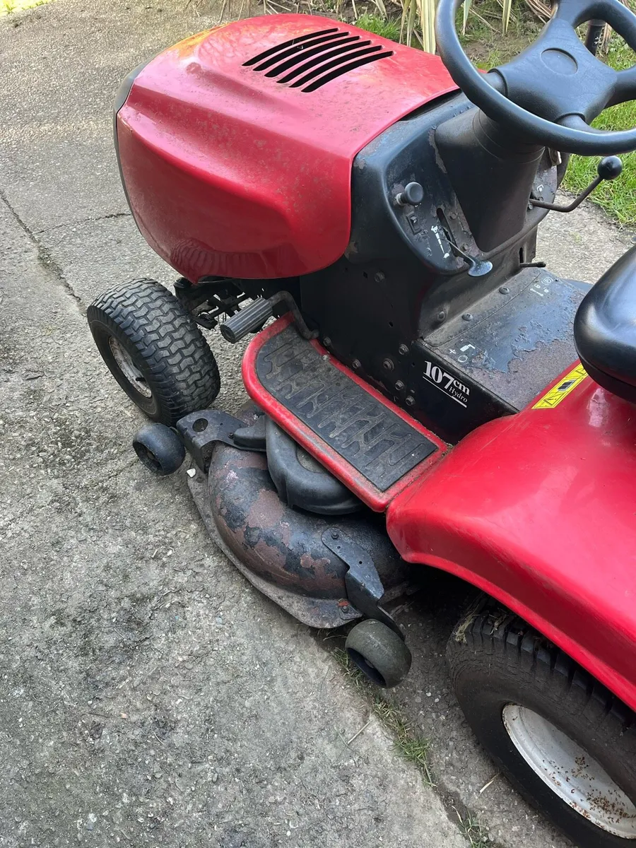 Rally mower - Image 4