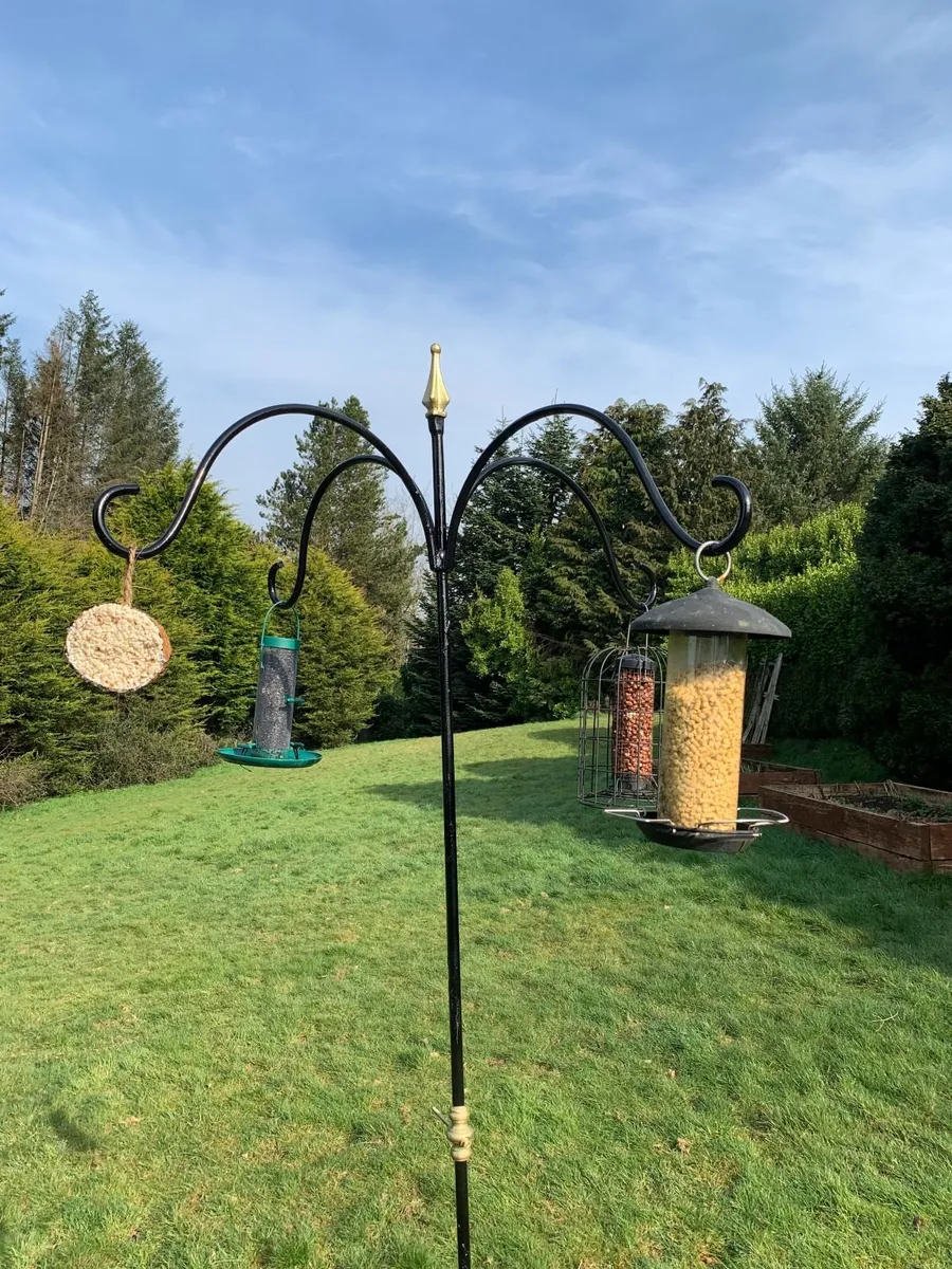 Bird Feeder - Image 4