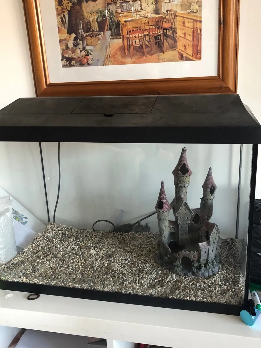 110 litre fishtank