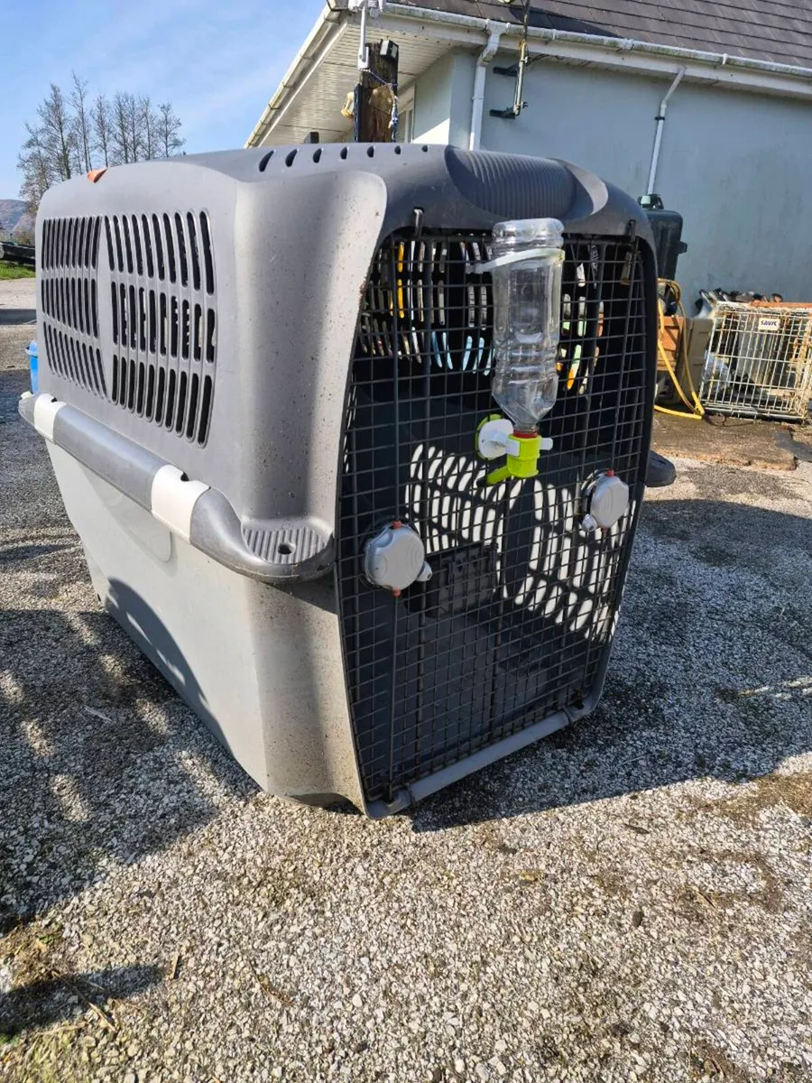 Dogit cargo box - Image 1