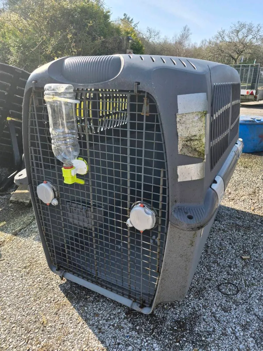 Dogit cargo box - Image 2