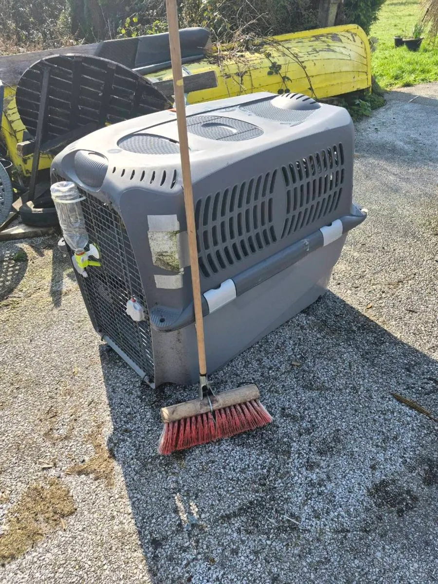 Dogit cargo box - Image 4